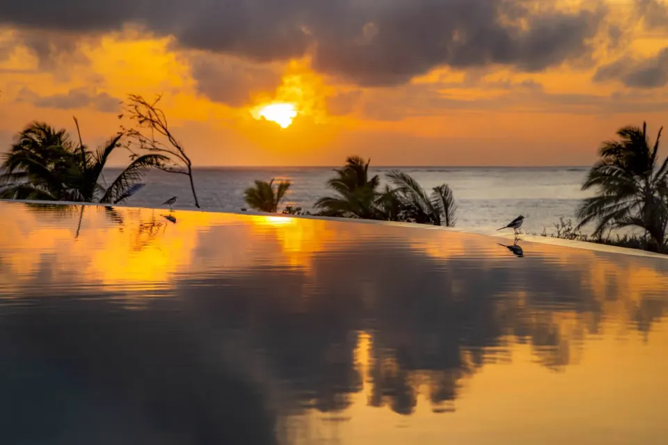 Golden hour over the infinity pool and the Indian Ocean